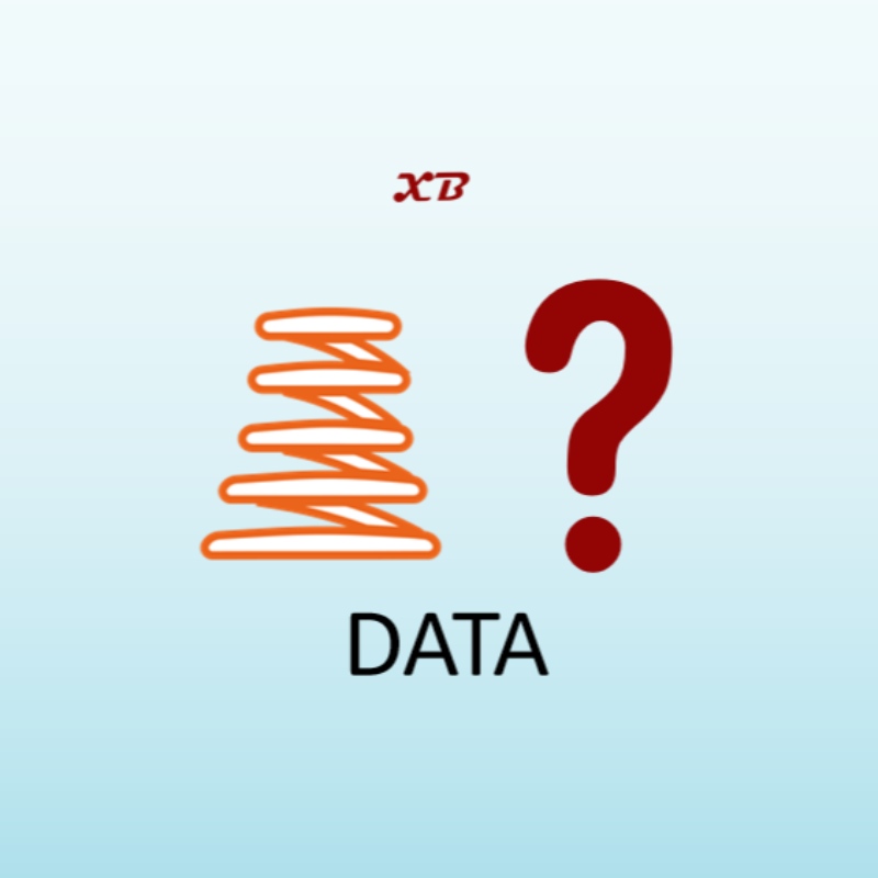 Gegevens over de veer