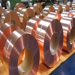 C5191 C5210 PHOSPOR BRONZE LEIDY SERIE