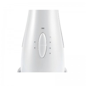 Basale elektrische gezichtsmassage