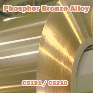 C5191 C5210 PHOSPOR BRONZE LEIDY SERIE