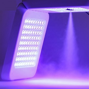 2022 Nieuwe LED -therapie Face Photon Therapy Lamp/PDT LED Spray Omega Light Machine voornano -watersupplement, huidverjonging, acne verwijderen