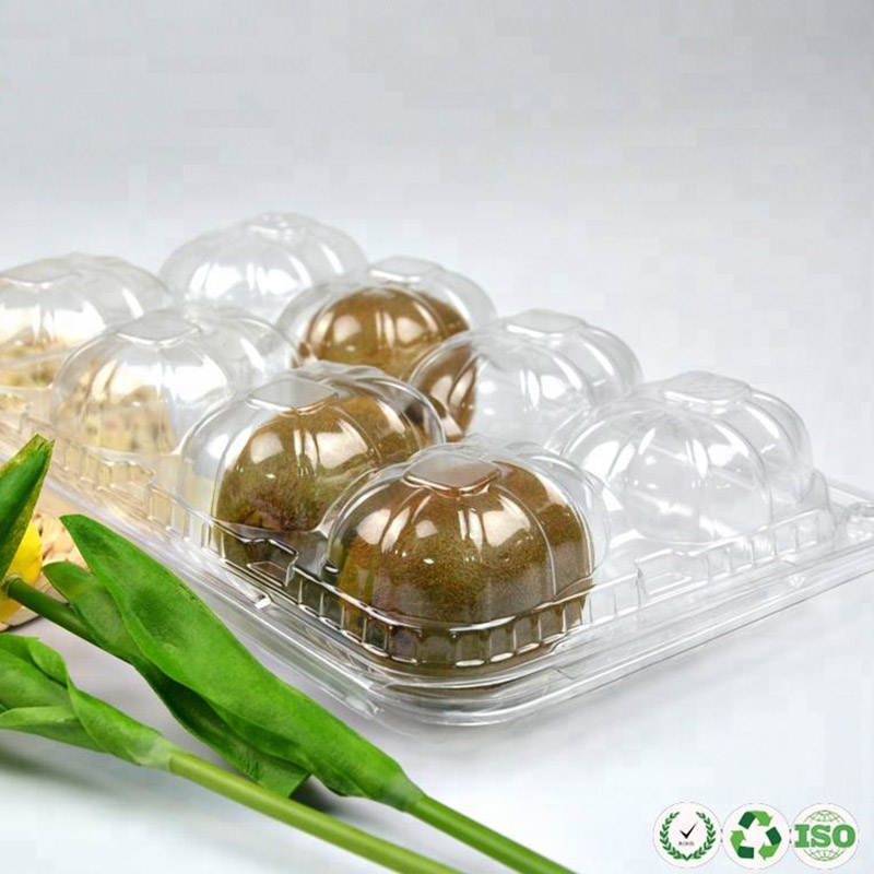 Food grade ademende doorzichtige plastic fruitcontainer voor kiwi