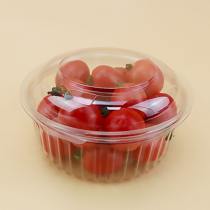 Plastic wegwerpbare transparante verse fruitopslagverpakkingscontainer fruitdoos