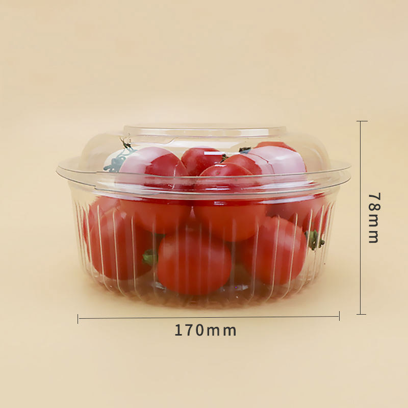 Plastic wegwerpbare transparante verse fruitopslagverpakkingscontainer fruitdoos