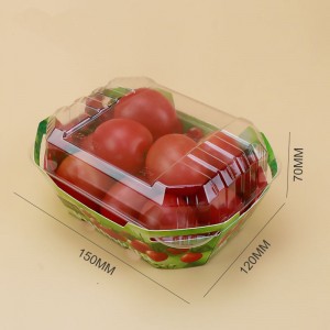 Aangepaste plastic kartonnen dozen voor fruit punnet verpakkingscontainer met deksel