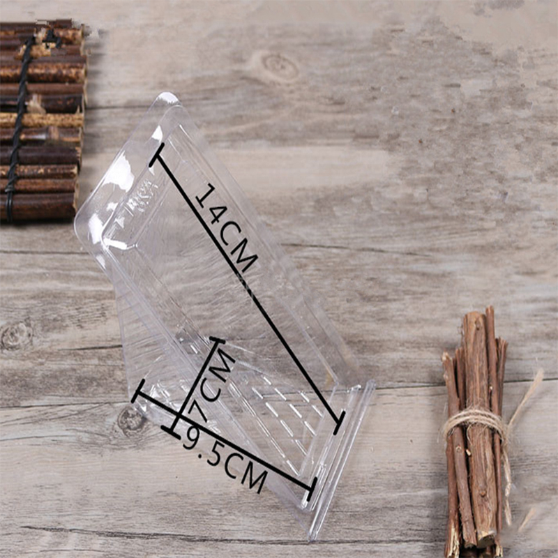 Clear Triangle Box Packaging Groothandel Plastic Voedsel aangepaste label wegwerpbaar Sandwich en Cake Customer \\ 'S Logo Pet, PLA