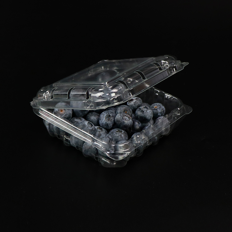 Blueberry doos fruitdoos met deksel 103*108*42 mm hgf-125b