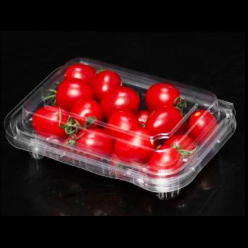 Fruitdoos met deksel 180*120*50 mm hgf-300a