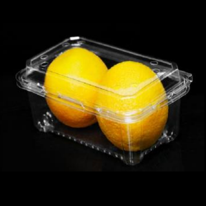 Fruitdoos met deksel 180*110*75 mm HJ-400a