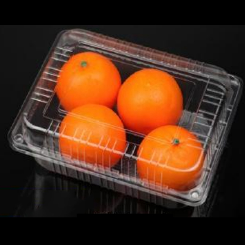 Fruitdoos met deksel 235*170*90 mm hgf-54c
