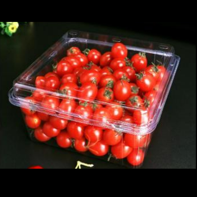 Fruitdoos met deksel 175*170*75 mm hgf-850g