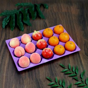 Display Fruit Tray 490*300*25 mm 15 groeven