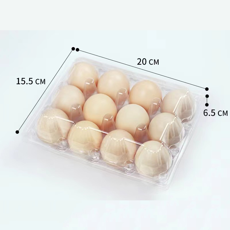 Eierbak 200*155*65 mm 12 groeven 3*4