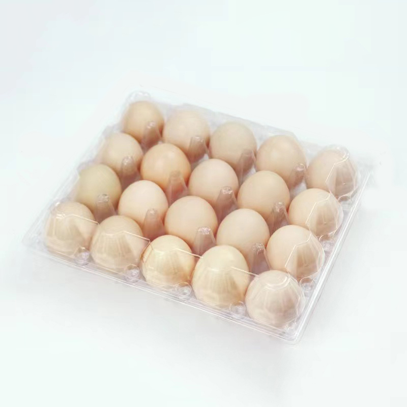 Eierbak 238*192*65 mm 20 groeven