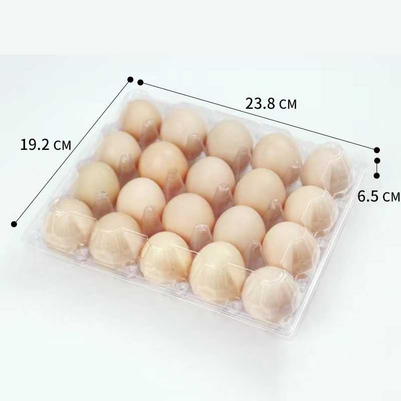 Eierbak 238*192*65 mm 20 groeven