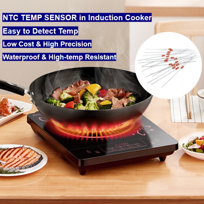 NTC -thermistortemperatuursensor in inductiekoker