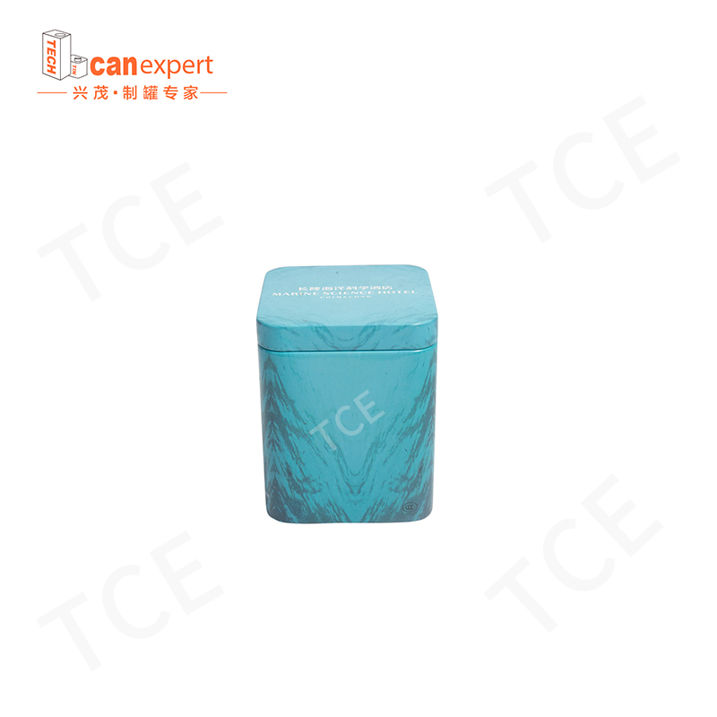 TCE-New Design Tin Gift Box Packaging blikjes 0,28 mm vierkante ambacht cadeau blikje