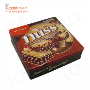 TCE- NIEUWE PRODUCTEN Vierkant metaal Cookie Biscuit Tin 0,28 mm Tijnplaat