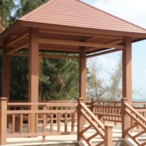 PE houten plastic extrusie mal