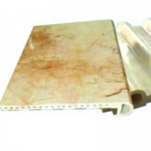 Plastic extrusievorm met de Romeinse kolom