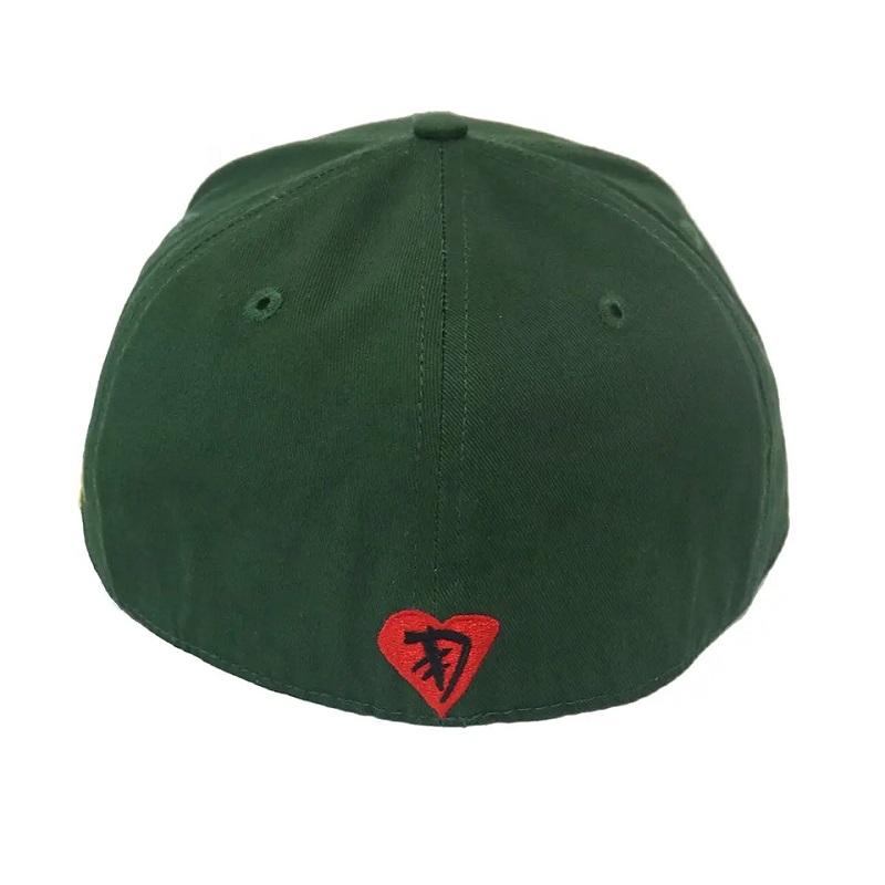 Hip Hop Hats 6 Panel Men Private Label Custom Snapback Cap Hat Twill Sports Stretch Sweatband Golf Baseball Hat Custom gemonteerd
