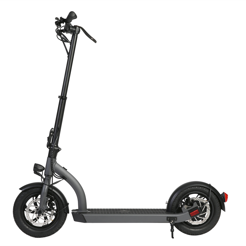 H8- 12inch 48V Electric Scooter/kan EN17128/EU Patent passeren