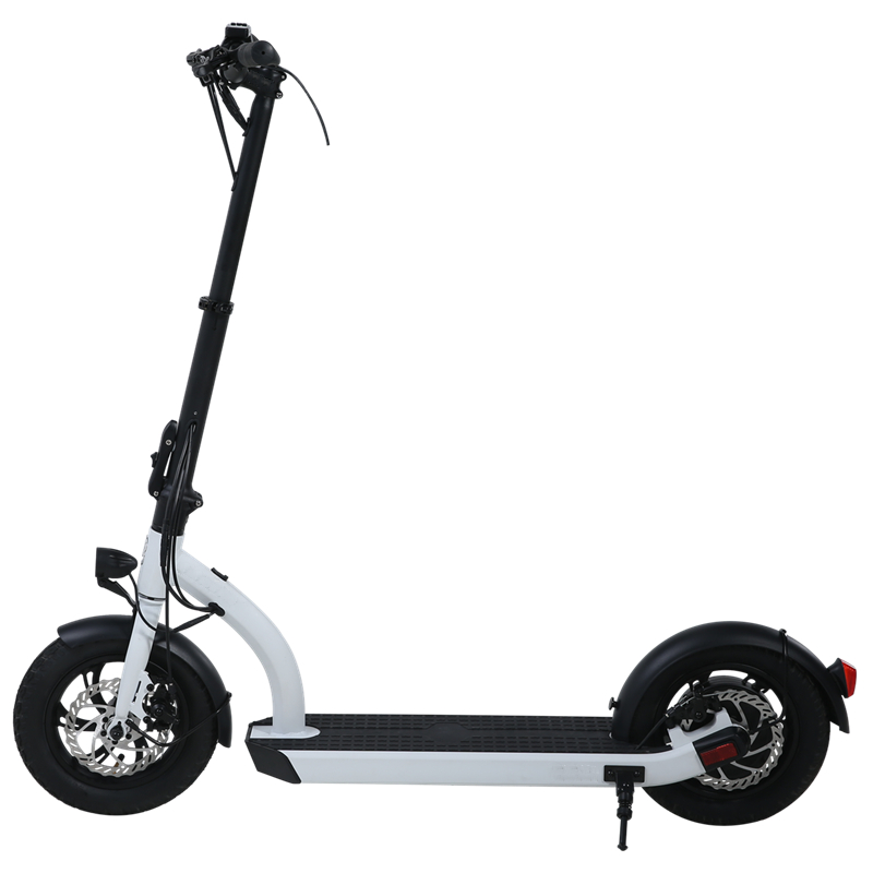 H8- 12inch 48V Electric Scooter/kan EN17128/EU Patent passeren