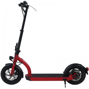 H8- 12inch 48V Electric Scooter/kan EN17128/EU Patent passeren