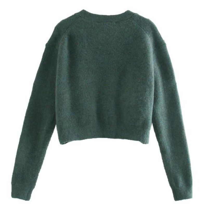 Prachtige Cardigan Lady 's Fashionr -trui van Lady