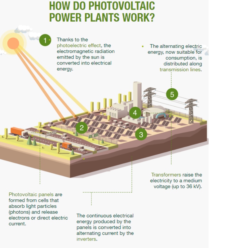 Soorten fotovoltaïsche planten