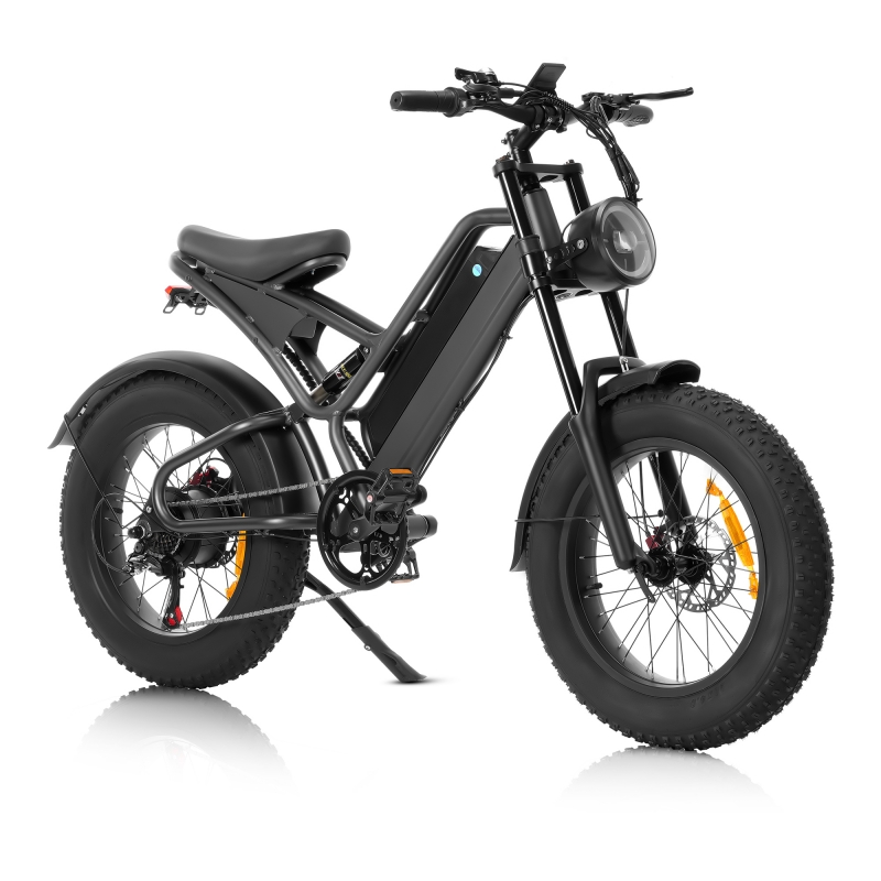20 inch dikke band elektrische fiets
