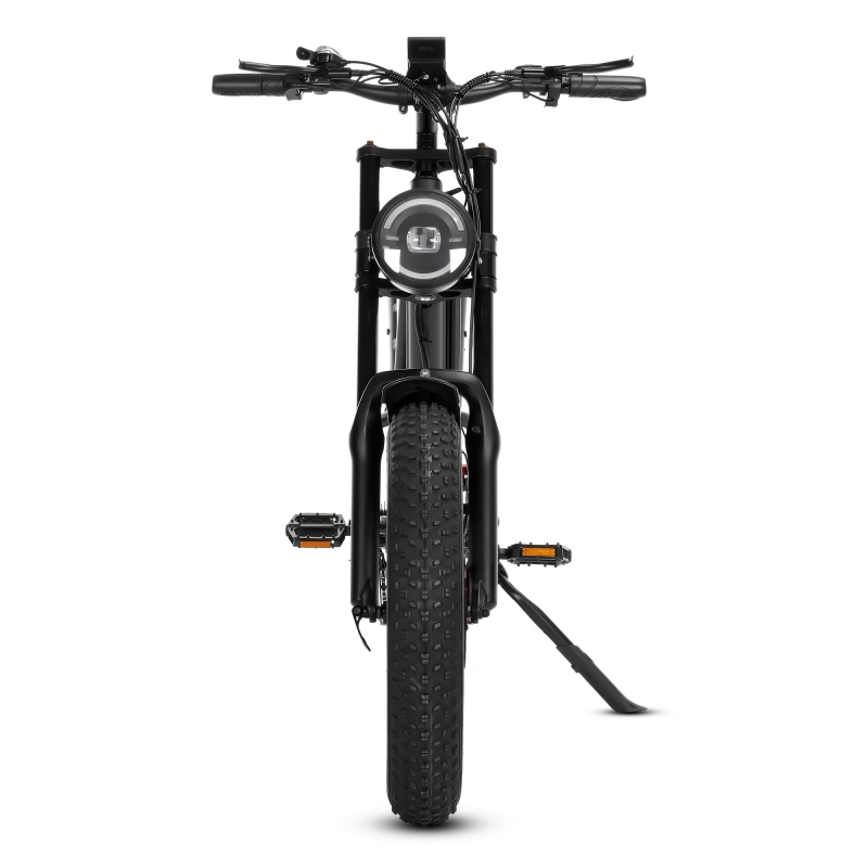 20 inch dikke band elektrische fiets