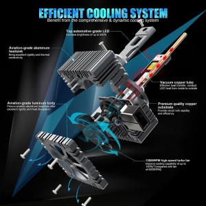 D1S/r LED -koplampen Bollen