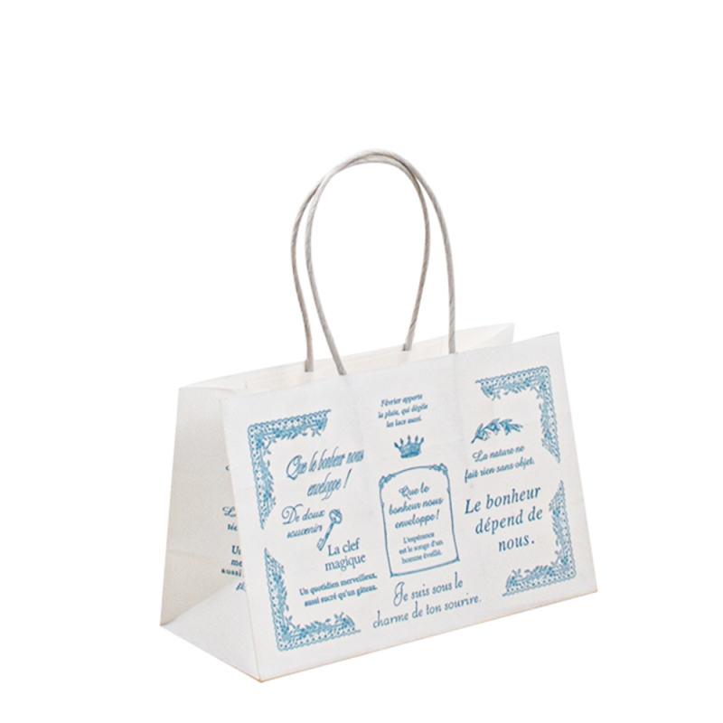Aangepaste papieren zak met uw eigen logo, wegwerp Eco -vriendelijke papieren zak met gedraaide handvat, drukbruine kraft papieren zakken afdrukken