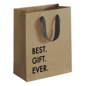 Biologisch afbreekbaar herbruikbaar aangepast ontwerp logo bedrukte bruine kraft ambacht boetiek papieren boodschappentassen met lintgreep