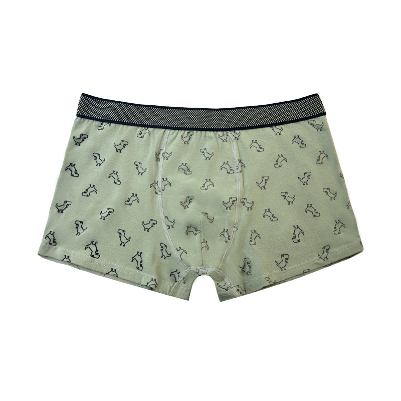 Groothandel Hot Sale aangepaste homoseksuele mannen 's Boxer -briefs met aangepaste logo mannen sexy ondergoed