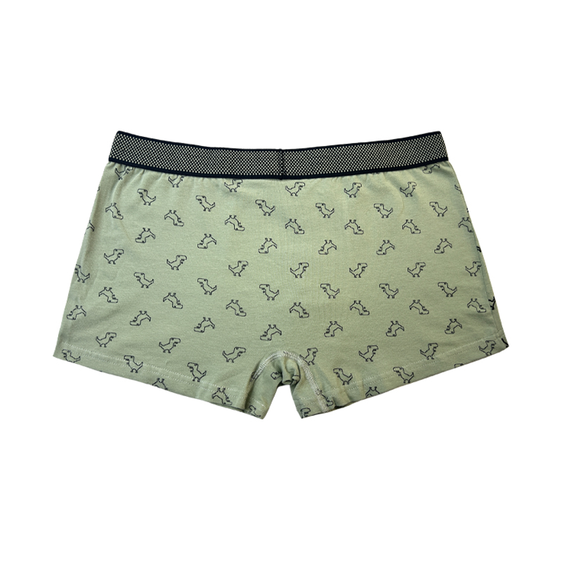Groothandel Hot Sale aangepaste homoseksuele mannen 's Boxer -briefs met aangepaste logo mannen sexy ondergoed