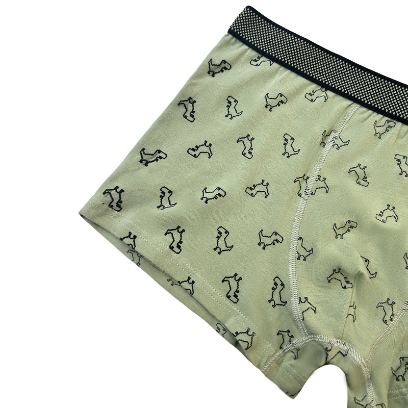 Groothandel Hot Sale aangepaste homoseksuele mannen 's Boxer -briefs met aangepaste logo mannen sexy ondergoed