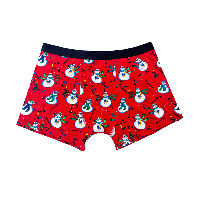 Groothandel Hot Sale aangepaste homoseksuele mannen 's Boxer -briefs met aangepaste logo mannen sexy ondergoed