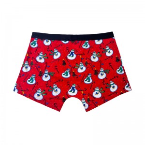 Groothandel Hot Sale aangepaste homoseksuele mannen \'s Boxer -briefs met aangepaste logo mannen sexy ondergoed