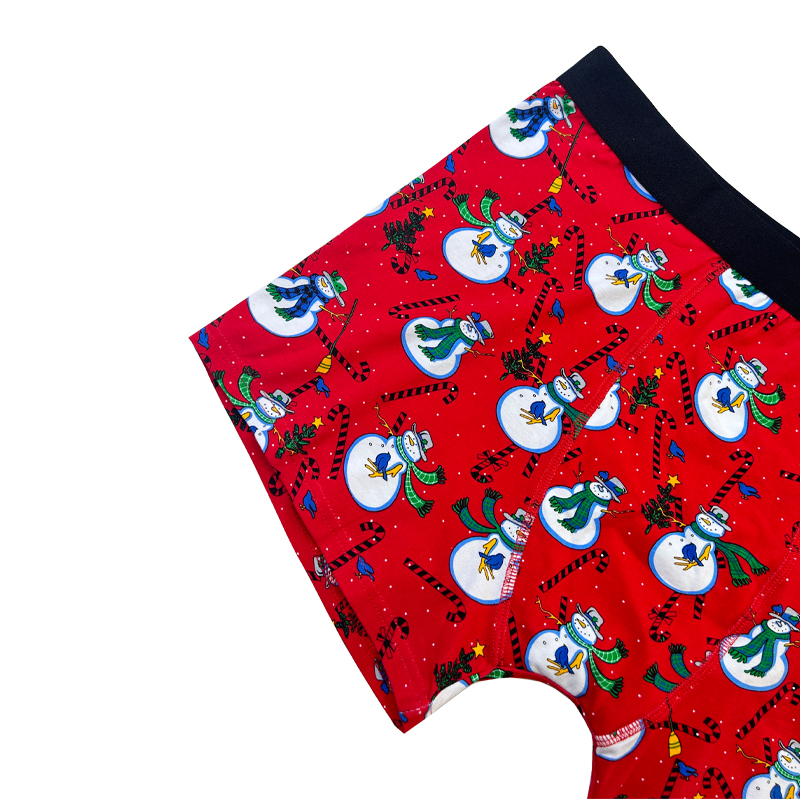 Groothandel Hot Sale aangepaste homoseksuele mannen 's Boxer -briefs met aangepaste logo mannen sexy ondergoed
