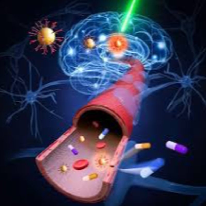 Peking University: NMN kan de lekkage van de bloed-hersenbarrière bij verouderende muizen verbeteren