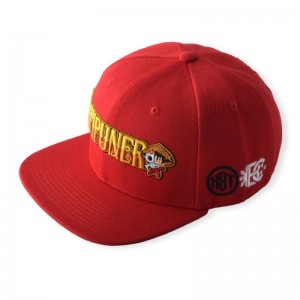 HST Brand Factory Direct Custom 6 Panels Tap Afdrukken Hip Hop Snapback Hat Rich Design 3D Embroidery Logo Flat Brim Cap