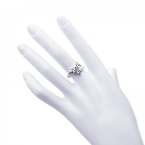 Hongde gepolijst type ring