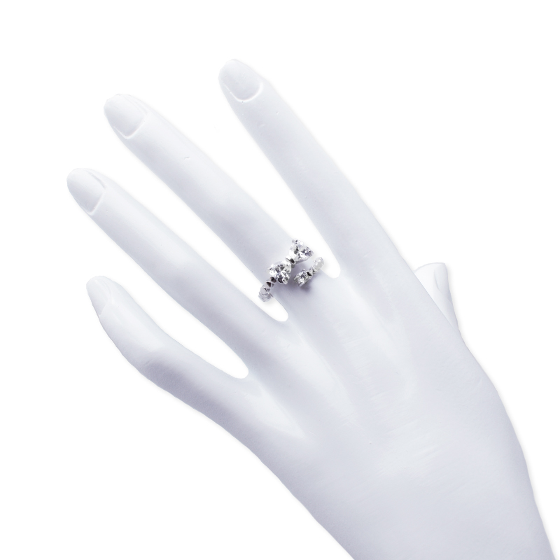 Hongde gepolijst type ring