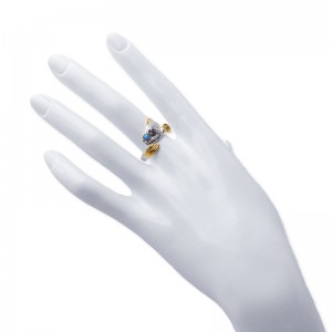 Hongde gepolijst type ring