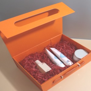 Draagbare multifunctionele verpakkingsdoos