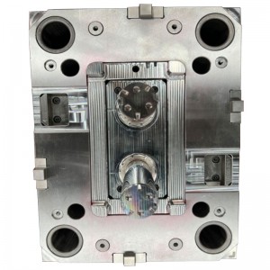 Precisievorm met meerdere holtes ibi-6