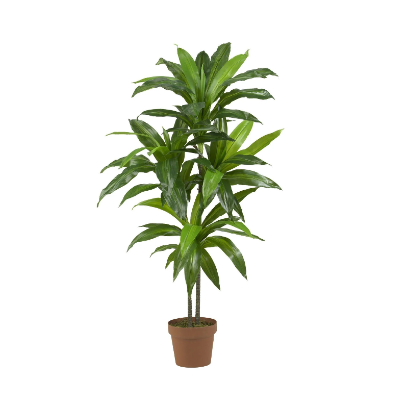 Echte touch-palnten(binnen&openlucht-)