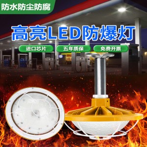 Led explosie-Proof Light
